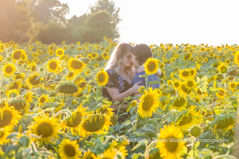 picture of couple holding each other in a sunflower field