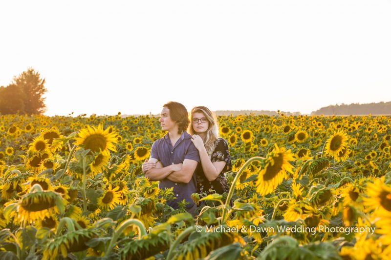 photograph of two people in sunflower filed getting engaged