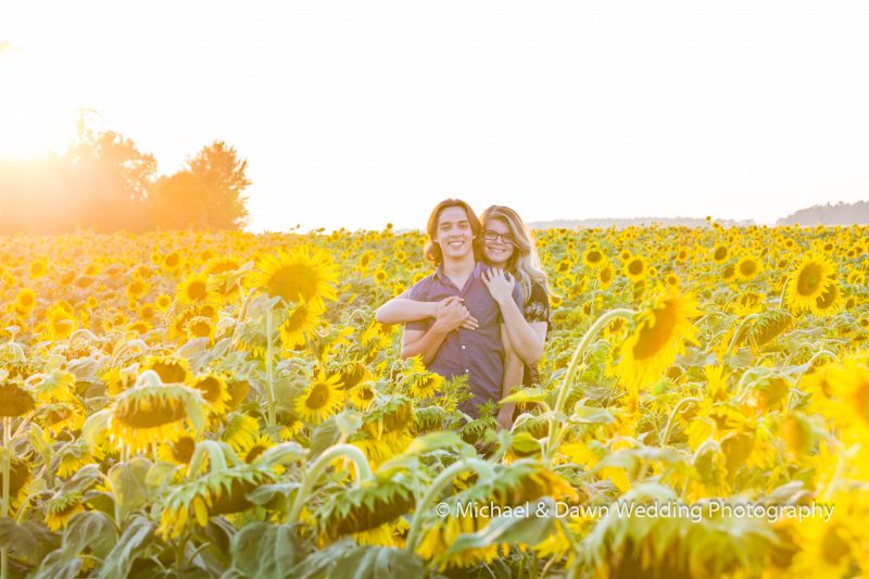 picture of engagement session in the sunflowers.
